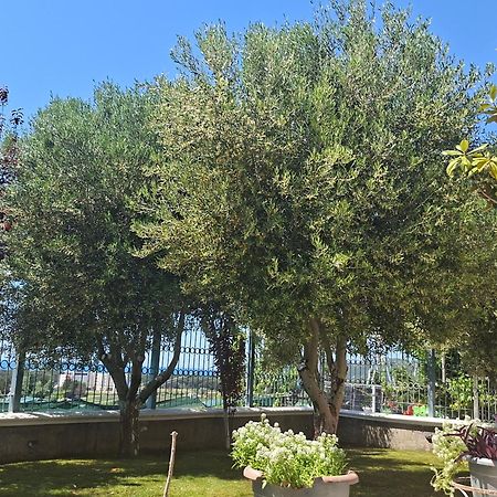 Villa Luiss Panorama Durrës Exteriör bild