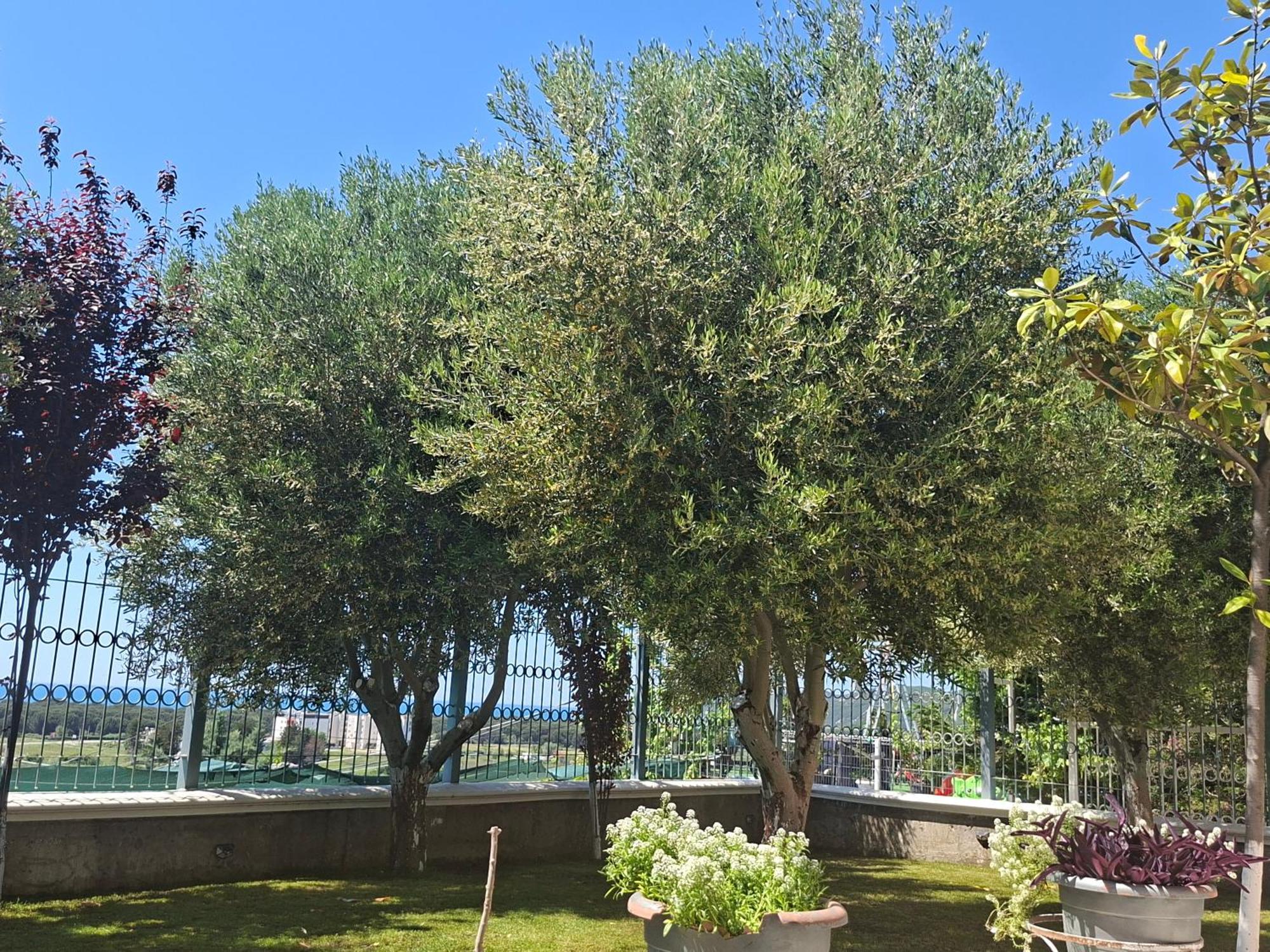 Villa Luiss Panorama Durrës Exteriör bild